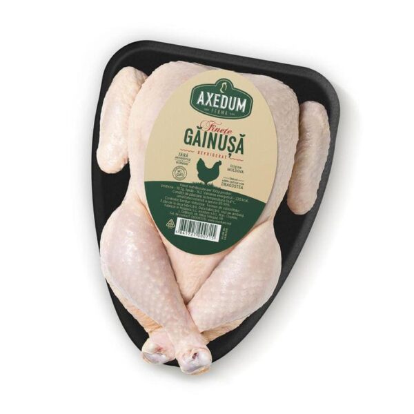 Finete Gainusa